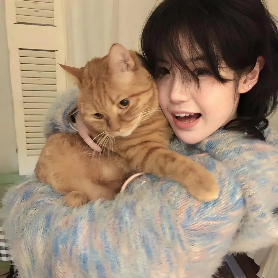 逃婚攻略总裁偏要宠我爱我